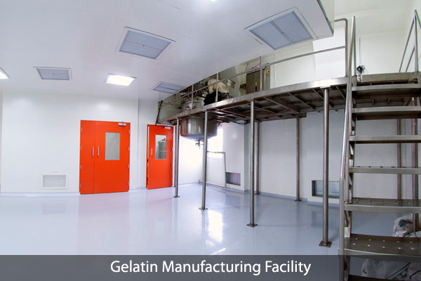 Contract Manufacturer for Soft Gelatin Capsules